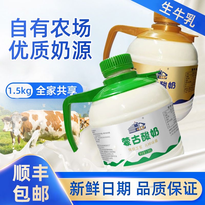 内蒙古1.5公斤低温老酸奶无添加蔗糖全脂生牛乳发酵儿童老人孕妇