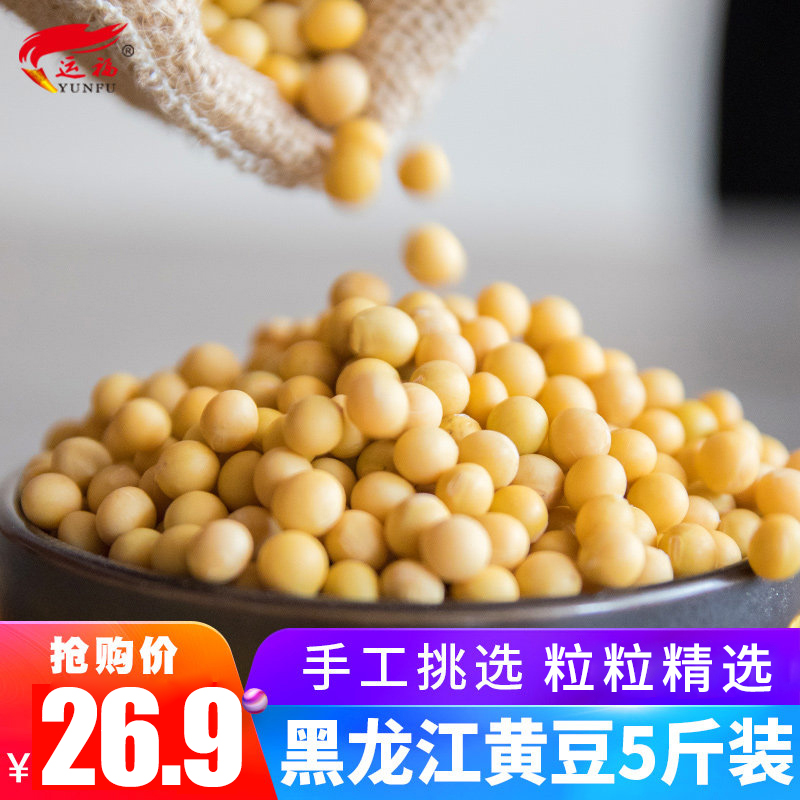 东北黄豆5斤新货 黑龙江大豆豆芽打豆浆农家自产小粒