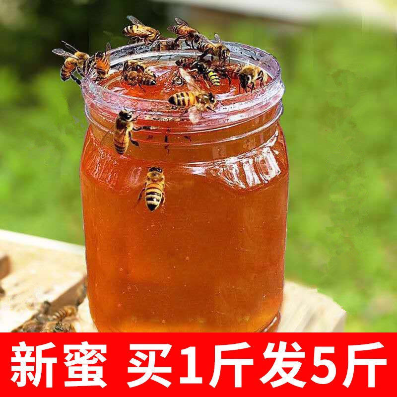 纯正天然蜂蜜农家自产百花蜜结晶土蜂蜜枣花蜜原始老山洋槐蜂蜜。