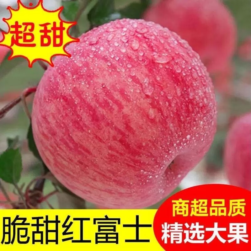 陕西洛川红富士10斤新鲜苹果水果当季整箱脆甜延安平果冰糖心包邮