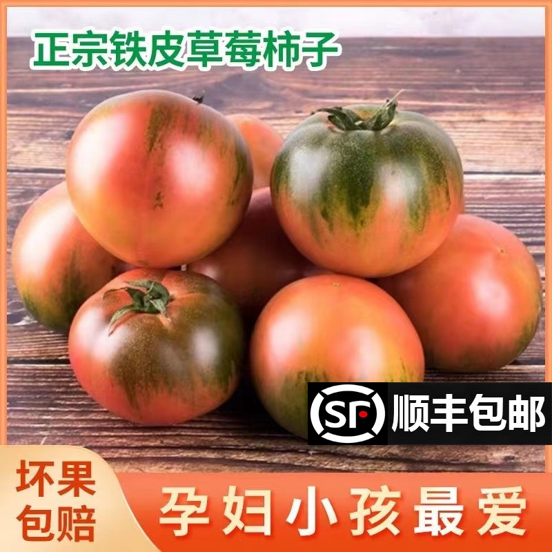 正宗铁皮草莓柿子5斤现摘碱地新鲜自然熟绿腚番茄水果农家西红柿1
