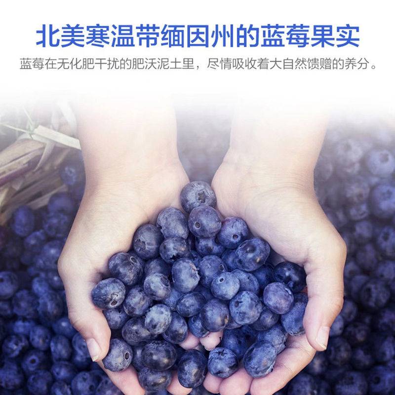 蓝莓叶黄素酯护儿童少年学生成人眼睛营养非近视眼片保健品