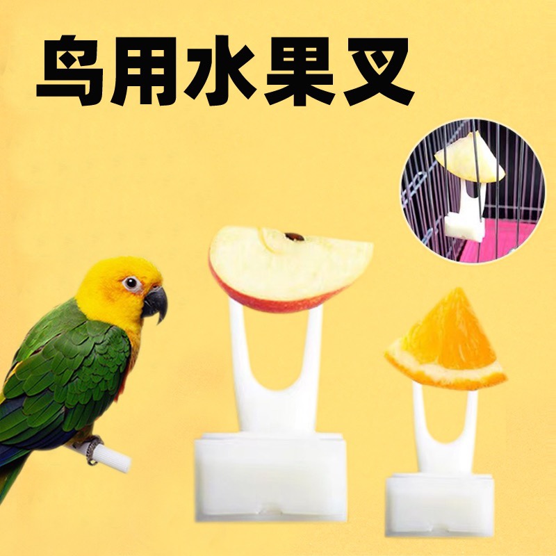 鸟用水果叉鸟笼配件塑料叉牡丹虎皮鹦鹉喂食叉子鸟玩具用品喂食器
