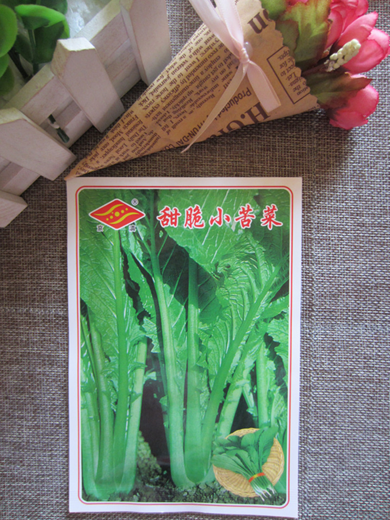云南蔬菜种子包邮甜脆小苦菜15g阳台农家菜园地自己种植家庭播种