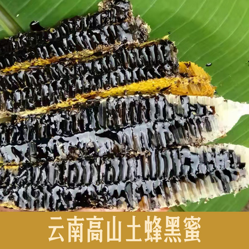 云南高山黑蜜 米团花蜜 野生土蜂蜜树洞成熟天然中药材米团花黑蜜