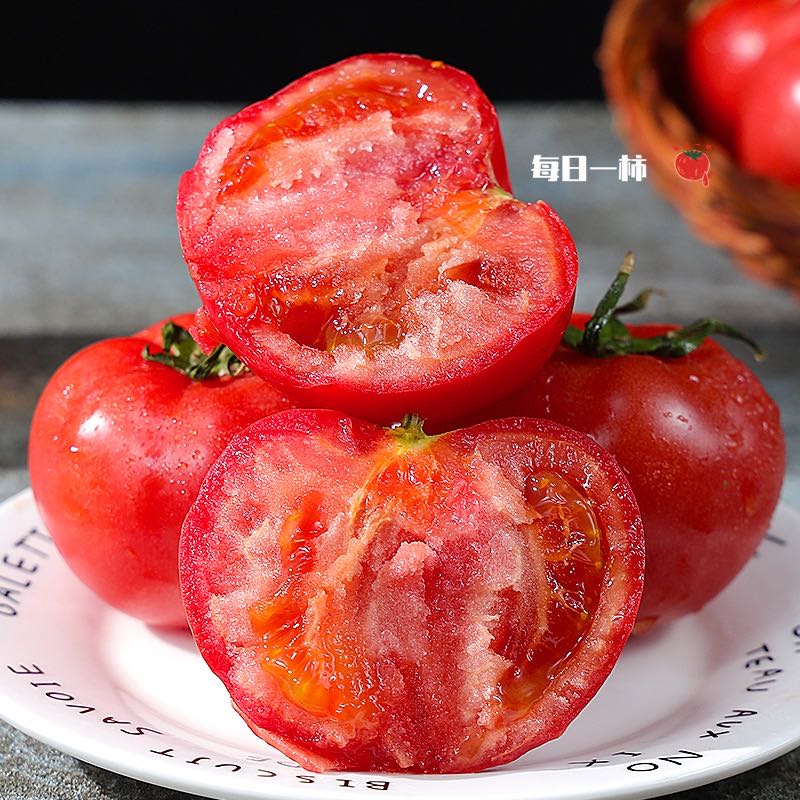 新疆每日一柿普罗旺斯西红柿沙瓤番茄自然熟新鲜多汁味浓酸甜可口