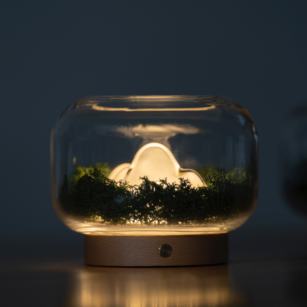 Nuan Lamp | Four Seasons 山川四季 暖山香薰灯 自然植物设计灯