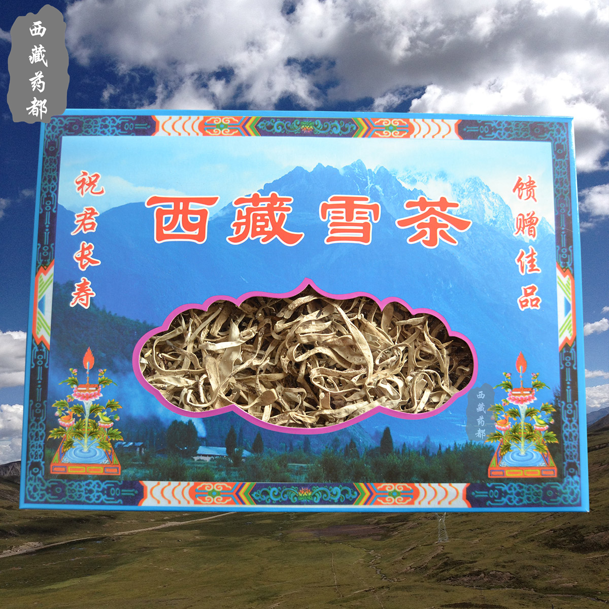 西藏雪山出 白雪茶 50克 礼盒装白雪茶 非云南丽江白雪毫茶