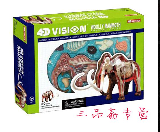4D MASTER 仿真动物模型 猛犸象骨骼解剖拼装模型 教学玩具可拆卸