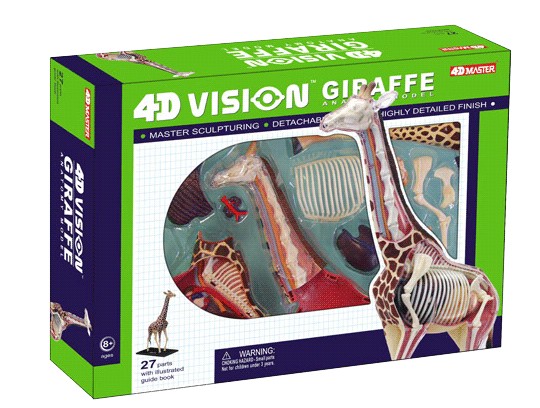 4D MASTER 动物模型长颈鹿器官解剖拼装模型益智结构玩具男女孩儿